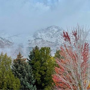 Meet your Posher, Whitney